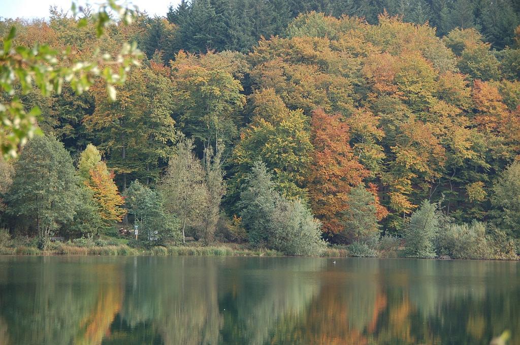 Ferienwohnungen Landgasthaus Janshen Ellscheid 외부 사진